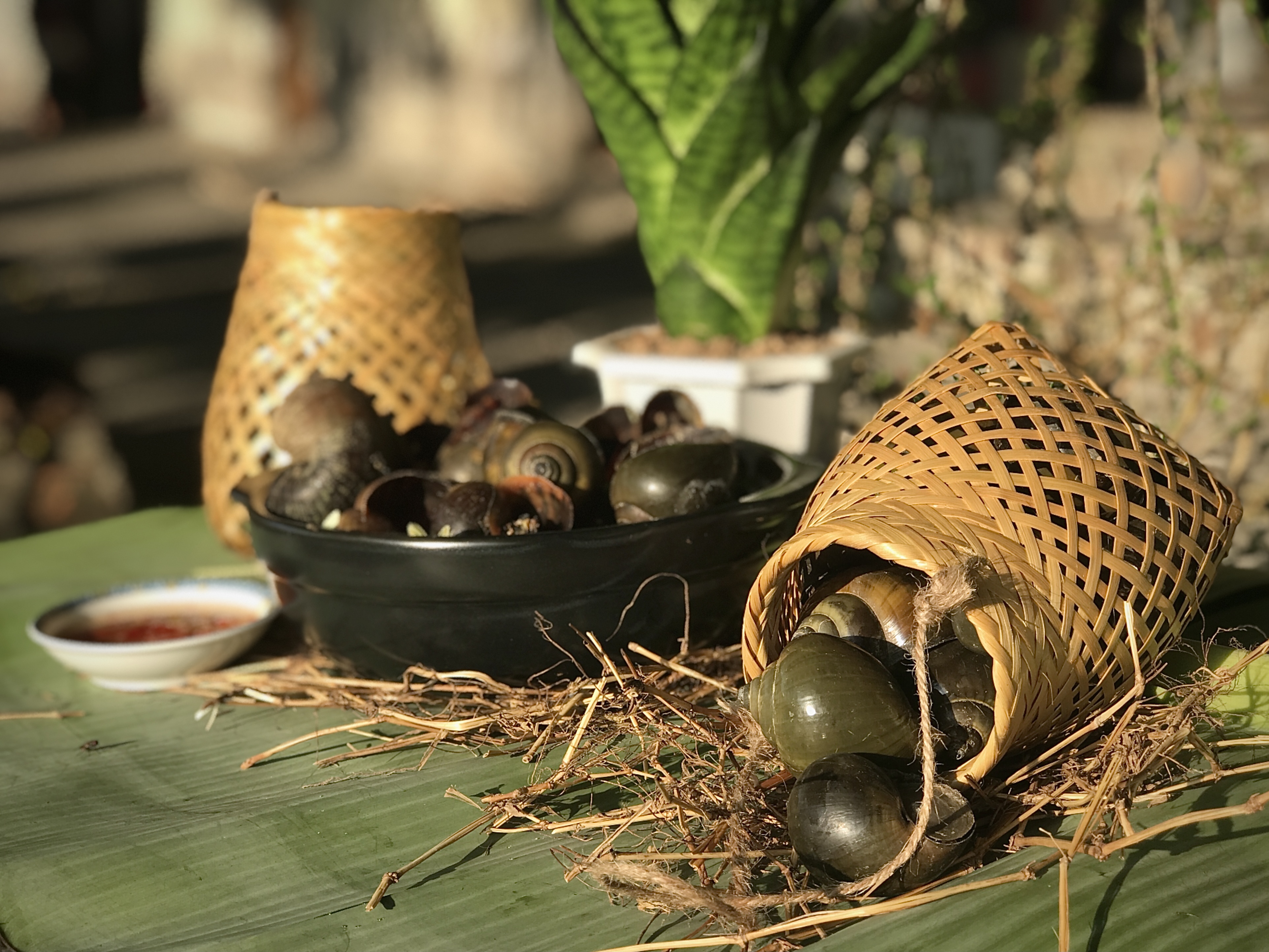 Thành phần & xuất xứ